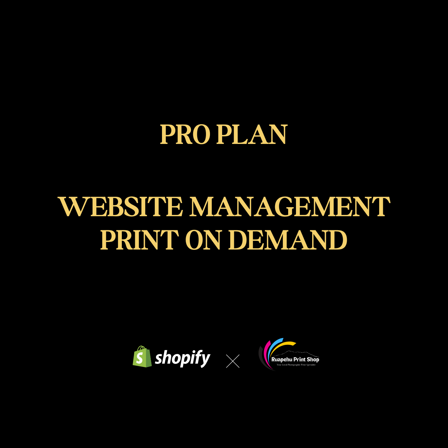 Website Management - Pro Plan - Ruapehu Print Shop